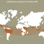 Coffee Bean Belt