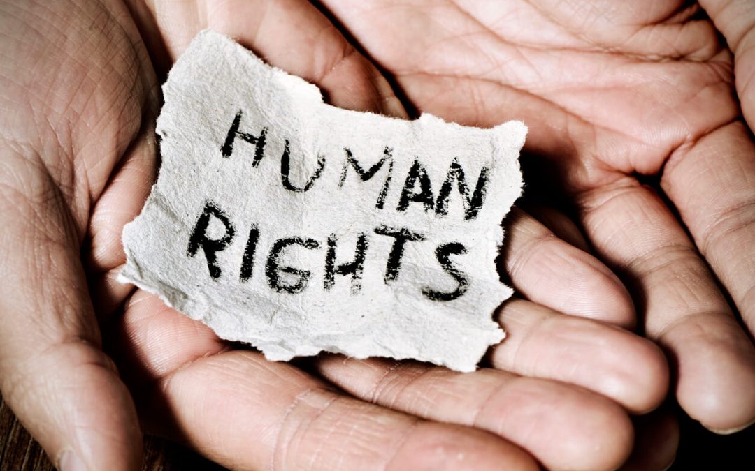 Day 16 - 16 Days of Freedom - UN Human Rights Day