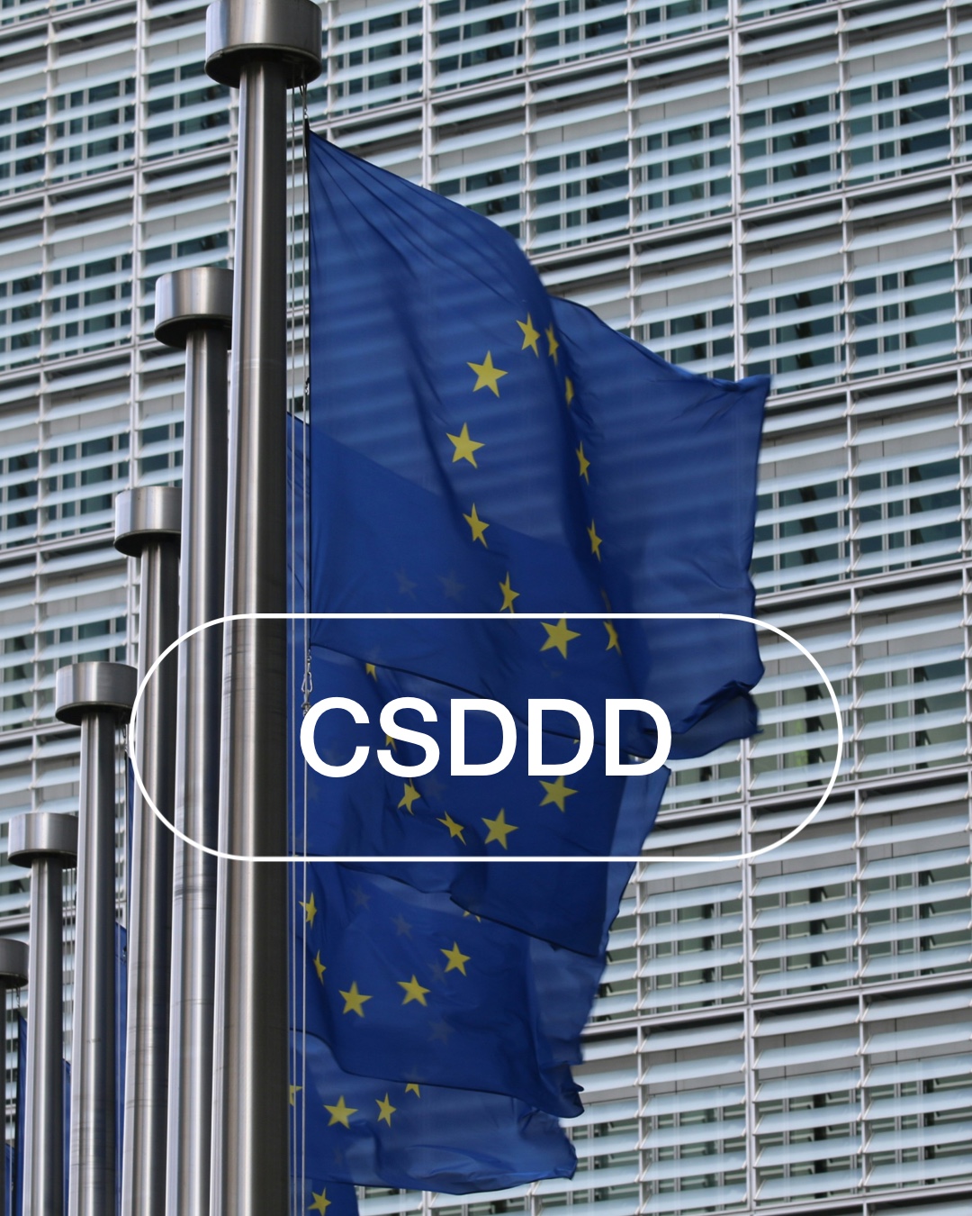 Picture of the EU flags